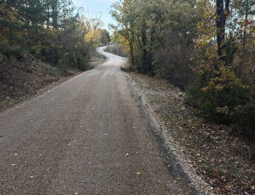 Pista de acceso Lasaosa – disfruta del slow driving