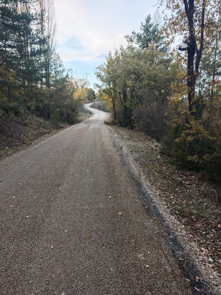 Pista acceso Lasaosa cruzando los bosques